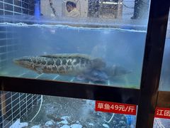 -万和源炝锅城·活鱼现炝(文艺北路店)