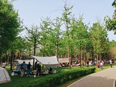 -洨河生态公园