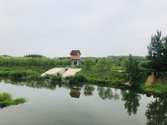 -东郊湿地公园
