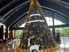 -三亚湾海居雅高铂尔曼度假酒店