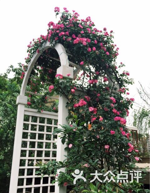 百花深处-图片-成都美食-大众点评网