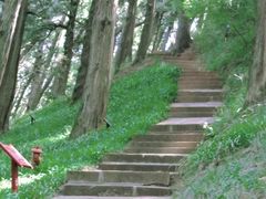 -七曲山风景区