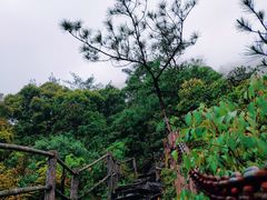 -福建天门山