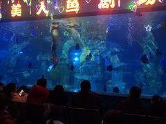 -石家庄市动物园