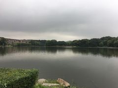 -二一九公园