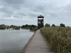 -盐城丹顶鹤湿地生态旅游区