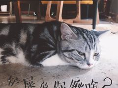 -咖法森林·咖啡  酒吧(天河店)