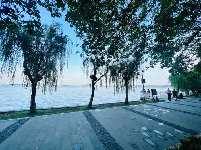 水云乡-"刚进门就会很热情的上一杯茶里面的沙拉意."-大众点评移动版