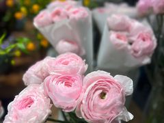 -双季花艺园艺市场(浦东店)