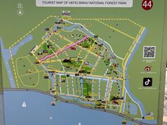 -合肥滨湖国家森林公园