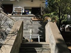 -三圣花乡旅游区