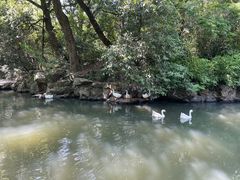-兰亭风景区