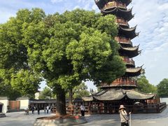 -龙华素斋(龙华路店)