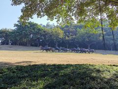-广州雕塑公园