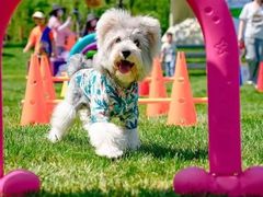 -春晖园度假酒店温泉