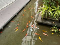 -绿房子方寸咖啡(星海名城店)