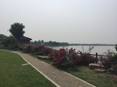 -鹅湖玫瑰文化园