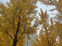 -森林公园(尖草坪区)