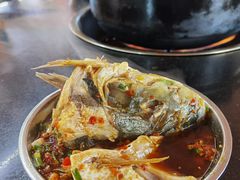 -老杨砂锅鱼庄