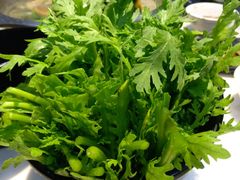 -八方客汕头火锅·牛肉·卤水(福保店)