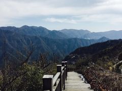 -江南天池