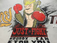 -TFC 纯泰拳馆MuayThai