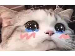 -西宁福茵长乐国际大酒店