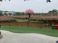 -盈香心动乐园