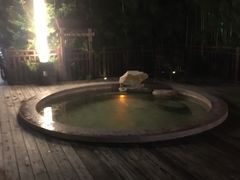 -天目湖涵田半山温泉