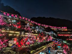-枇杷园食为鲜火锅(南山店)