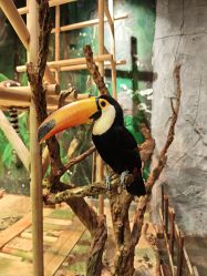 -Zoolung Zoolung动物主题公园(海信广场店)