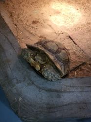 -Zoolung Zoolung动物主题公园(海信广场店)