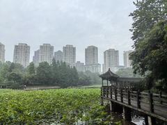 -龙头寺公园