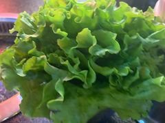 -包装马车·韩国料理·포장마차