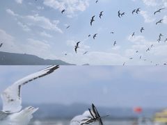 -海埂大坝