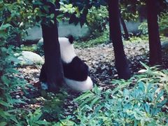 -自贡好吃客(科华店)