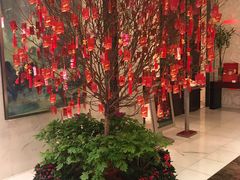 -金轩中餐厅 Jin Xuan(浦东丽思卡尔顿酒店)