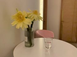 大堂-苑苑vbeauty科技美容SPA