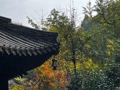 -慧因高丽寺