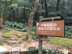 -普陀山风景区-佛顶山