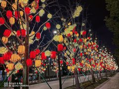 -龙华寺