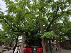 -浮来山风景区