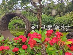 -厦门日月谷温泉渡假村