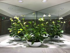 -杭州西湖银泰百货