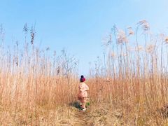 -上海都市菜园