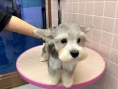 -FAELING PETS美天灵宠物(富力广场店)