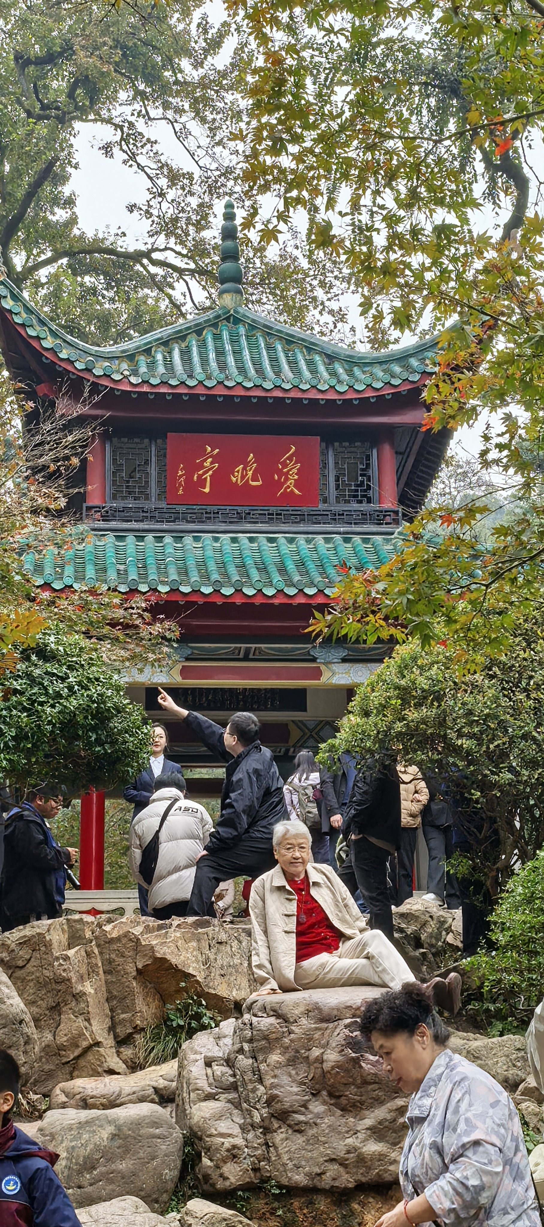 岳麓山灯会简介图片