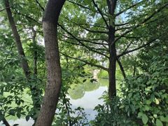 -八大山人梅湖景区