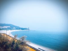 -长岛万鸟岛
