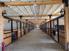 -北京群众马术培训基地